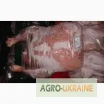 СРОЧНО продам от производителя говядину и свинину на экспорт внутренний рынок с 20 тонн- фото № 12
