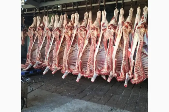 Продам на экспорт полутуши говядины. От производителя с 20 тонн Кроме Европы- фото № 12