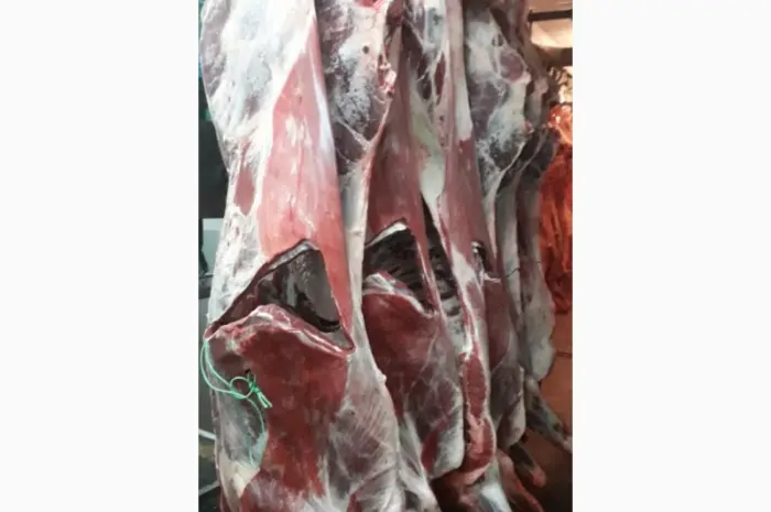 ПрАТ АГРО-ПРОДУКТ продает охлажденное мясо на кости и кусковое мясо быка и коровы- фото № 1