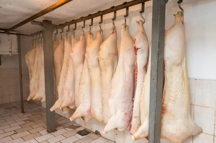 Свинина охлажденная (полутуши)- фото № 1