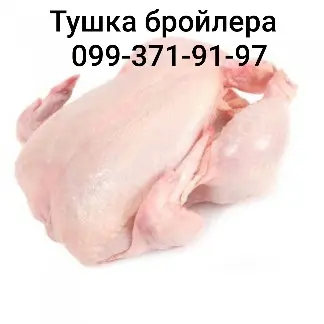 Тушка бройлера- фото № 1