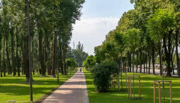Насіння травосуміші для благоустрою парків (також з ПДВ)- фото № 1