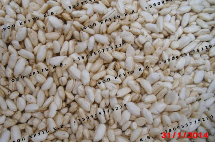 Рис повітряний висаджений 1кг Puffed rice- фото № 1