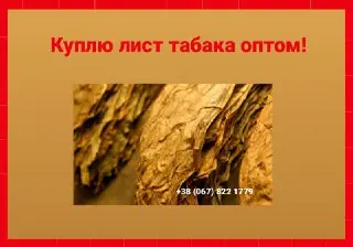 Куплю лист табака для сигарет 1 кг, только опт! Вся Украина- фото № 1