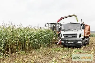 Уборка сенажа сена соломы уборка кукурузы на силос по Украине- фото № 1