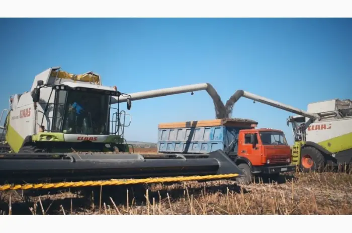 Послуги по уборке урожая комбайнами подсолнечника сои кукурузы Хмельницкий Сумы Украина- фото № 1