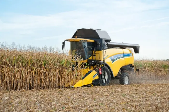 Уборка кукурузы. Аренда комбайна New Holland. Уборка кукурузы комбайном- фото № 1