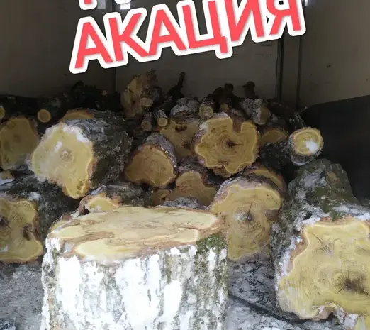 Продам Дрова Акация- фото № 1