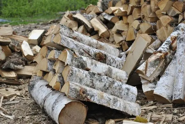 У нас можна купити дрова колоті берези або вільхи в Києві та області- фото № 1