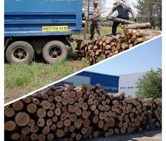 Продам дрова дуб- фото № 1