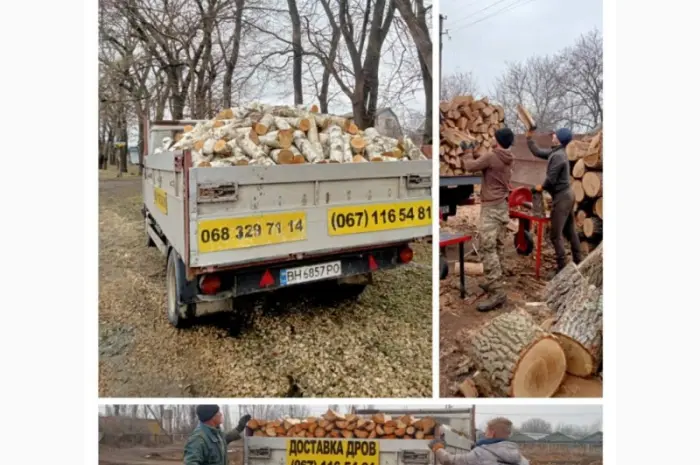Продам дрова дуба Одесса и область- фото № 2