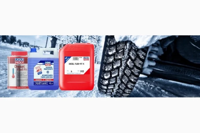 8839 Омивач скла - Scheiben Frostschutz -80C (концентрат) 4л- фото № 2