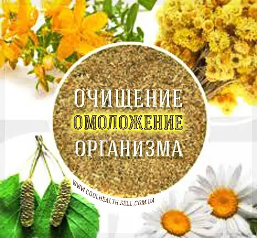 Тибетский Очищающий Сбор- фото № 2