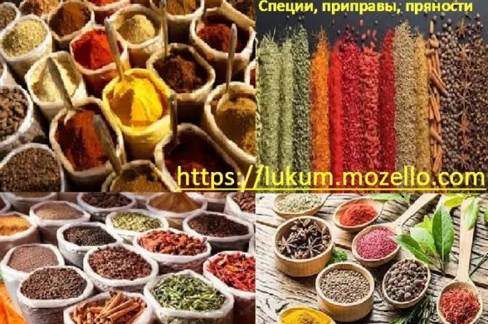 Пряности специи приправы Перец Корица Куркума Зира Имбирь Томаты Карри Мускатный орех- фото № 1