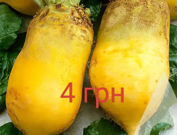Продам кормовую свеклу, морковь, картофель и чеснок- фото № 1