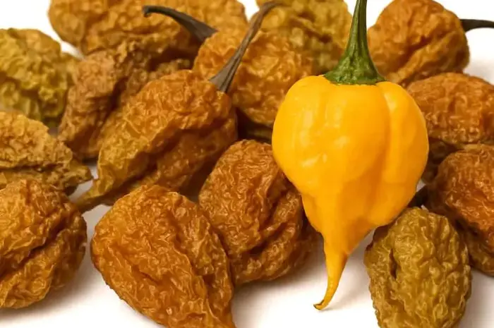 Сушеный перец острый Carolina Reaper Yellow- фото № 1