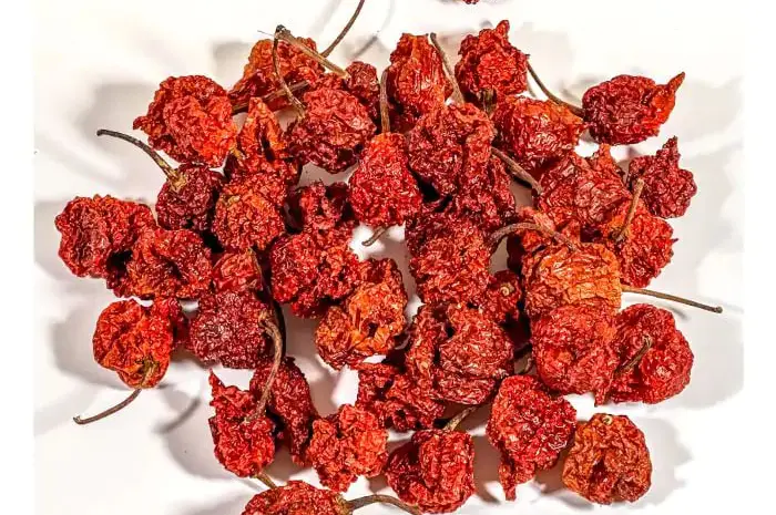 Сушений гострий перець Dragon Breath 10 грам- фото № 1