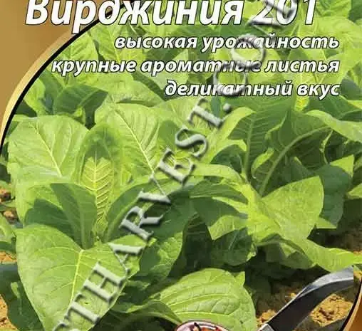Семена табака "Вирджиния 201" 0.1 г- фото № 1