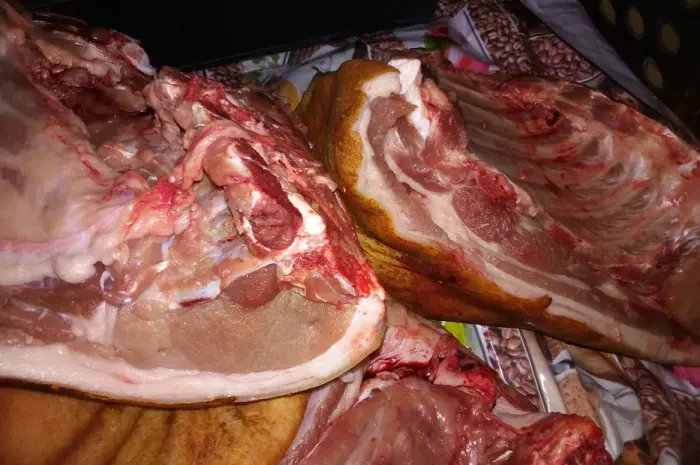 Продам мясо домашних свиней свинина необрезная- фото № 2