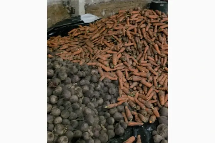 Продам буряк- фото № 1