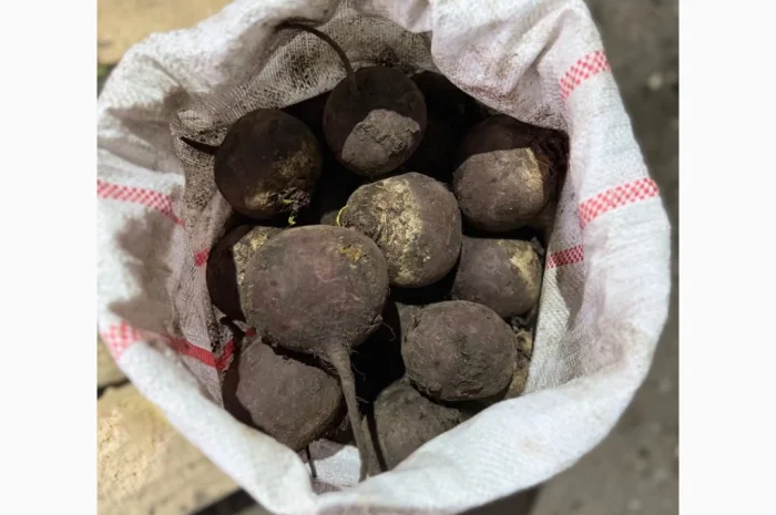 Продаж буряка різних фракцій- фото № 1