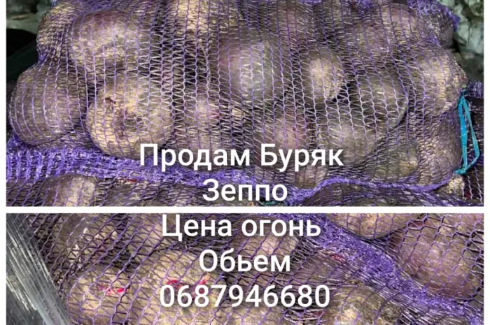 Продам Свекла сорт зеппо- фото № 1
