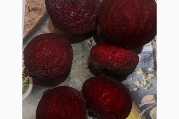 Продаю буряк сорту Камаро- фото № 7