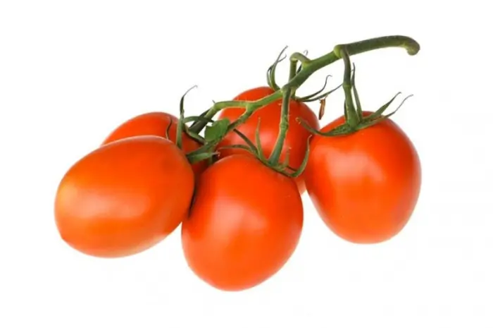 Продам помідор- фото № 1