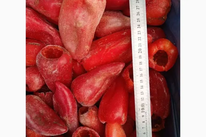 Продам перец целый (столовый). Свежемороженый- фото № 2