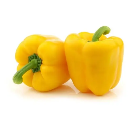 Продам перец болгарский сладкий желтый из Египта экспорт- фото № 1