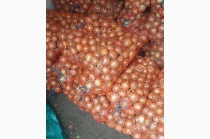 Цибуля пізніх сортів на продаж- фото № 10