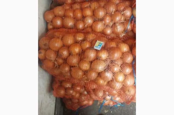 Цибуля пізніх сортів на продаж- фото № 7