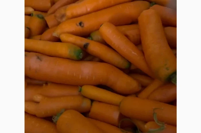 Продаж моркви 3 сорту мита- фото № 3