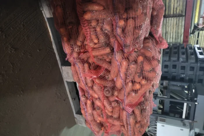 Покупка моркви в об'ємних сітках- фото № 1