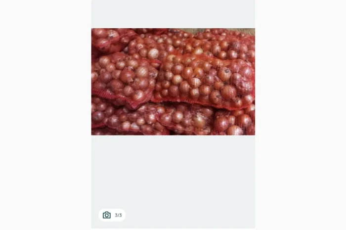 Продаю моркву, буряк та цибулю- фото № 5