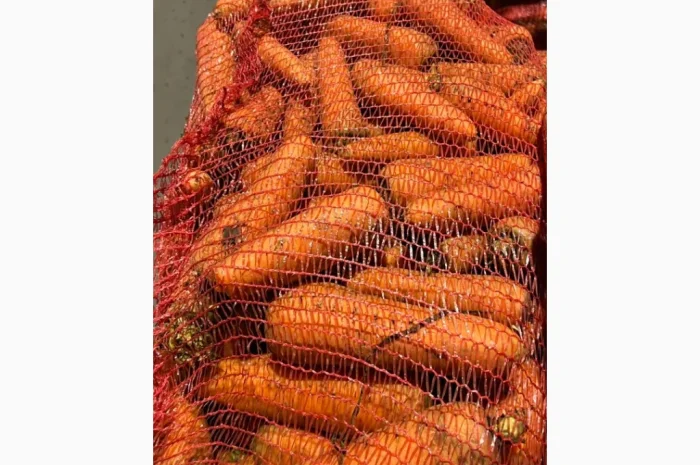 Якісна морква на продаж- фото № 2