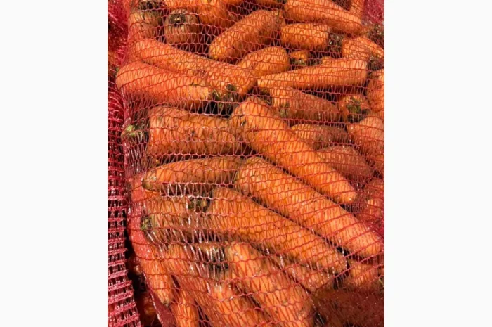 Якісна морква на продаж- фото № 3