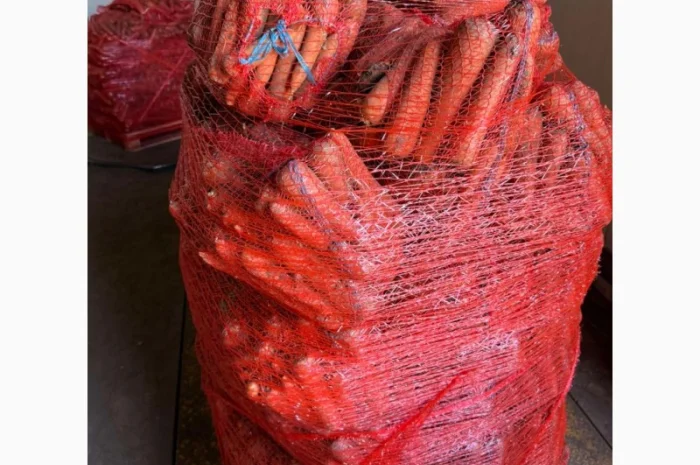 Продаж моркви немитої 1 сорт- фото № 1