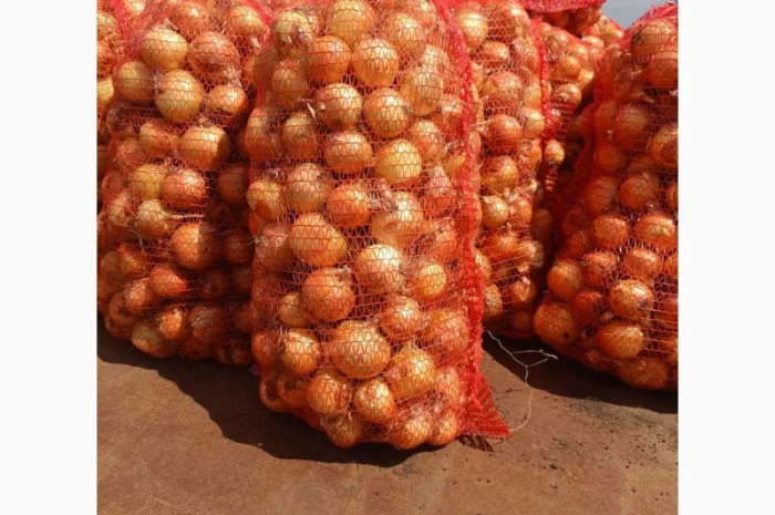 Продаж цибулі в Красівському- фото № 1