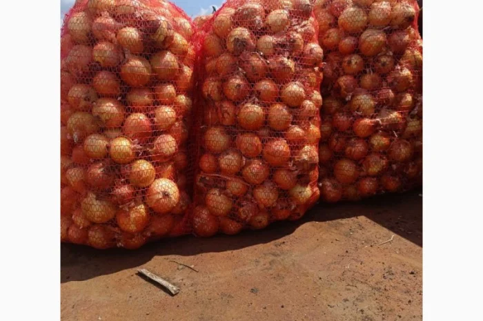 Продаж цибулі в Красівському- фото № 4