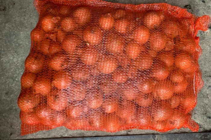 Цибуля нового поступлення на продаж- фото № 1