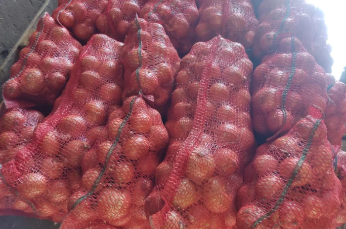 Продаю цибулю гарної якості- фото № 1