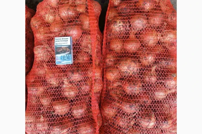 Продаж моркви та цибулі у Харкові- фото № 2