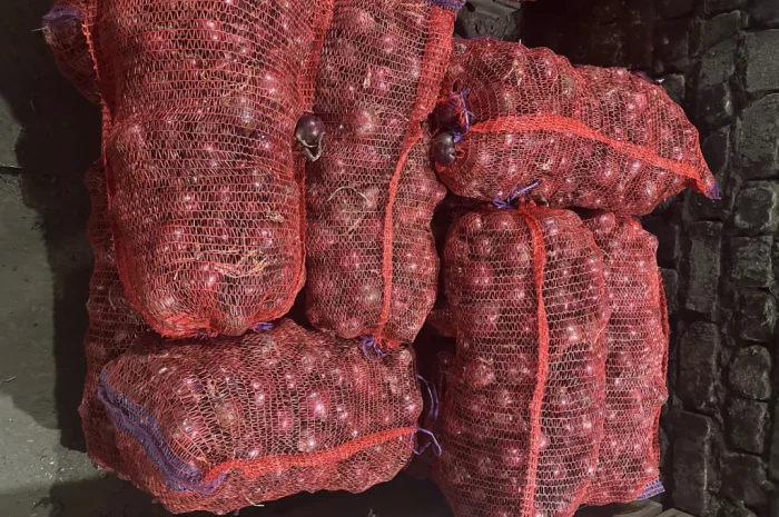 Продаж моркви та цибулі у Харкові- фото № 4