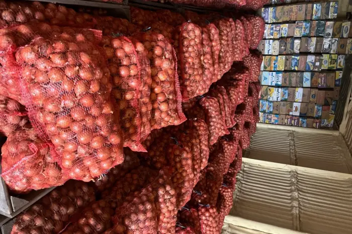 Продам лук- фото № 1