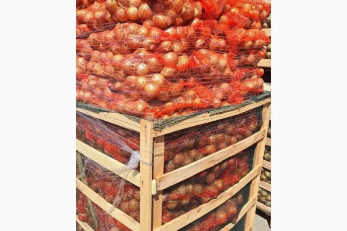 Продам лук из Польши 1- фото № 3