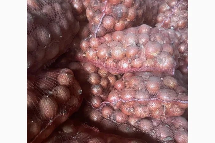 Продаж цибулі гарної якості- фото № 2