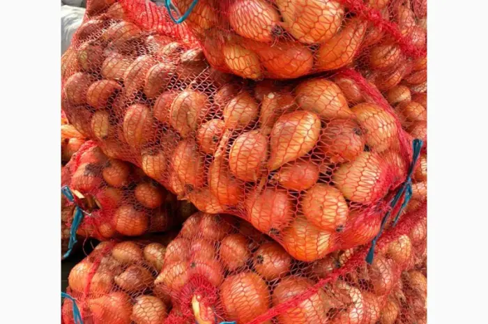 Продам Лук- фото № 1