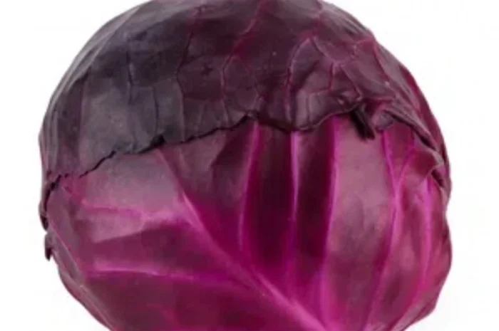 Продаж КАПУСТИ Червоноголової сорту Rodima- фото № 1