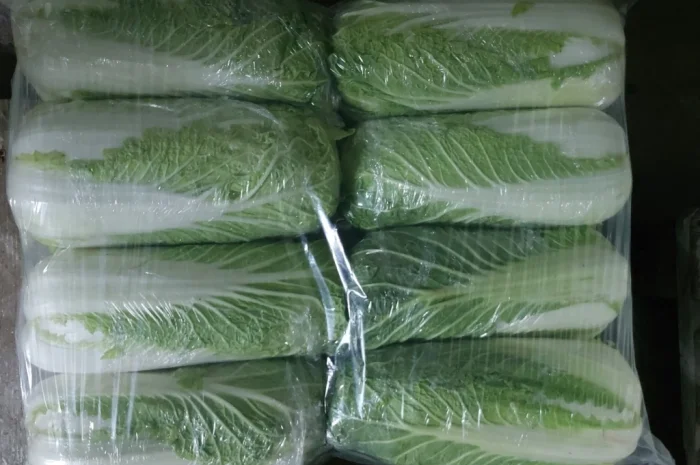 Пекинська капуста на продаж- фото № 1